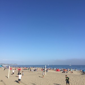 IMG_8893