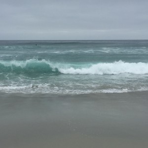 IMG_9106