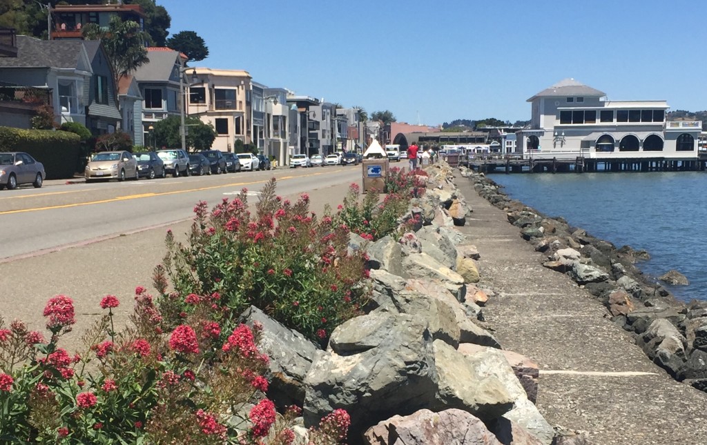 California. Marin County.