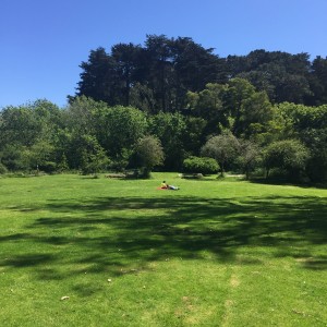 Golden Gate Park