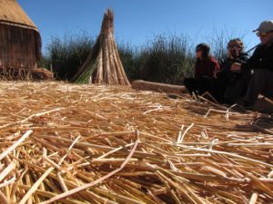 totora