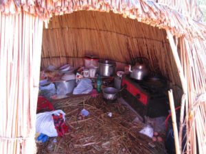 IMG_0729