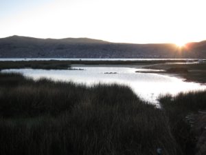 IMG_0828
