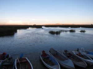 IMG_0831