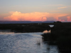 IMG_0837