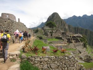 IMG_1409