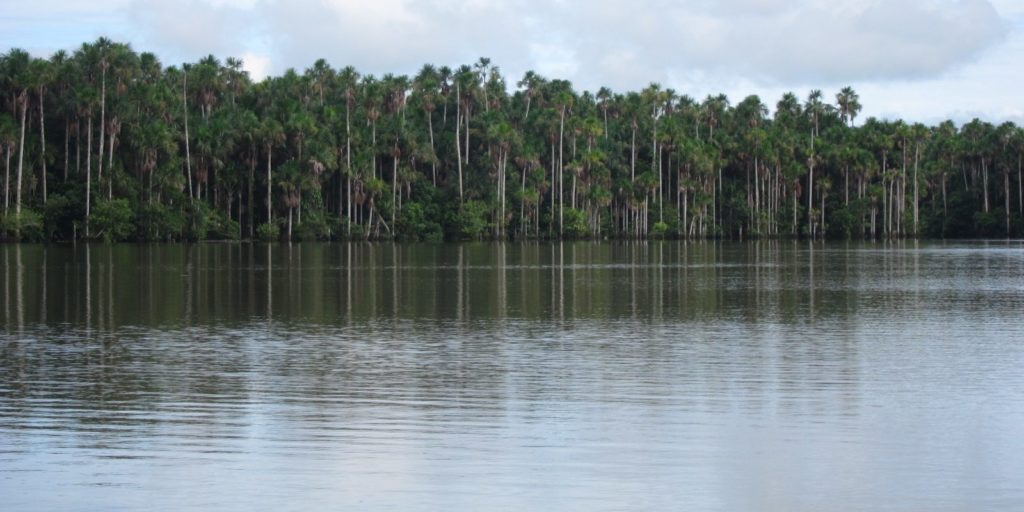 Peru. Puerto Maldonado.