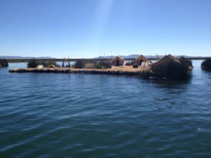 IMG_3667