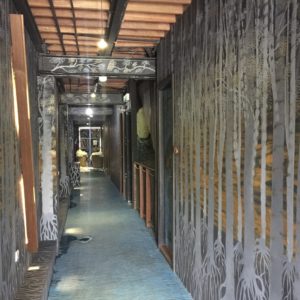 painted walls and floors