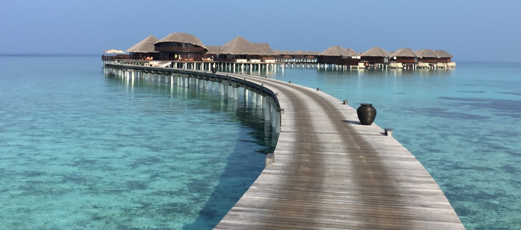 Maldives. Coco Bodu Hithi Resort.